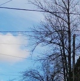 Продажа комнаты улица Полярников, 12 Продажа комнаты улица Полярников, 12