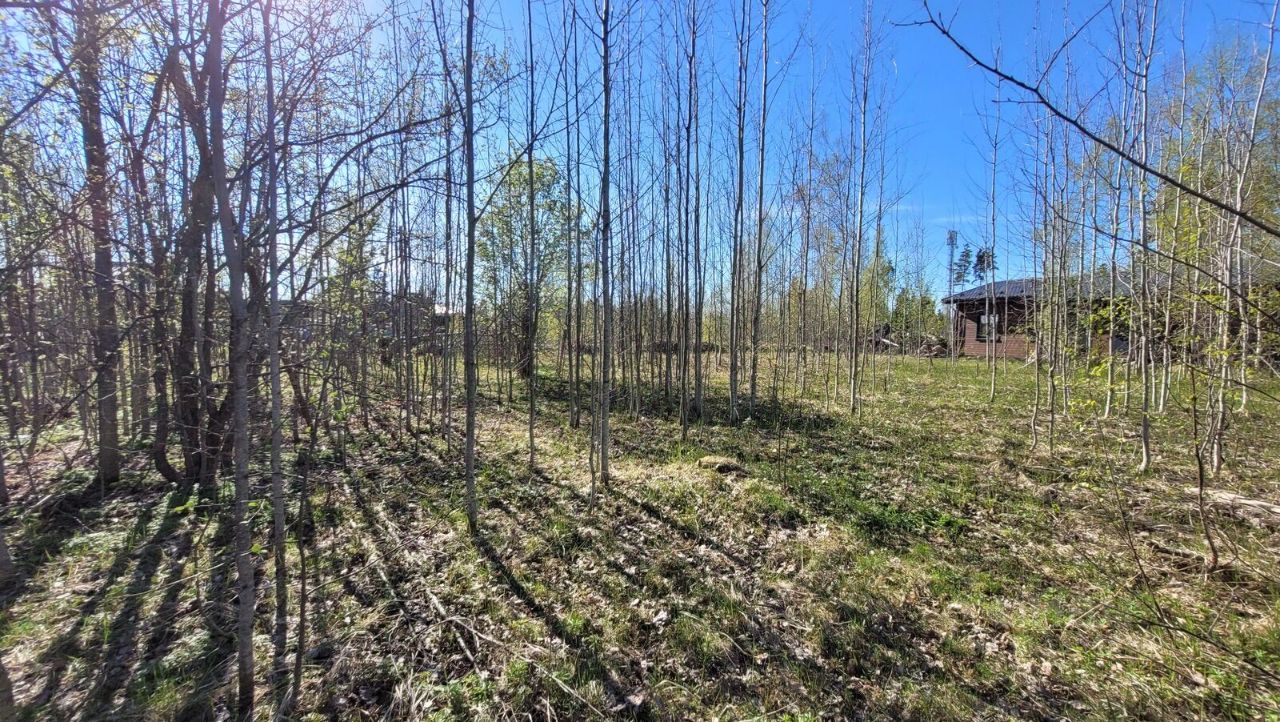 Продажа земли Агалатово ДНП, 27