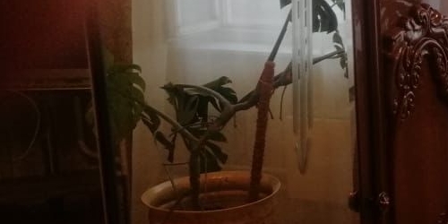 1-комн квартира Бескудниковский бульвар, 56к1