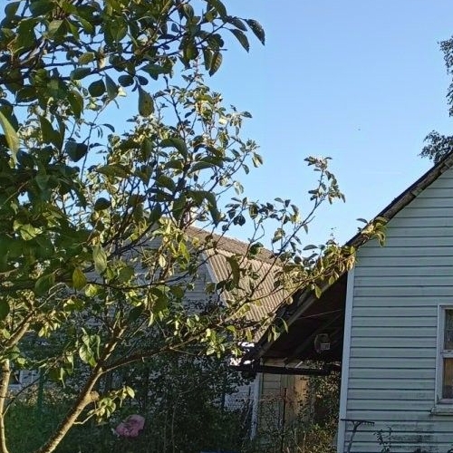 Коттедж/дом Грузино СНТ, улица Центральная