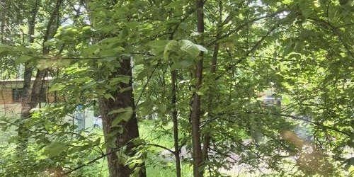 2-комн квартира улица Пилотов, 28К3