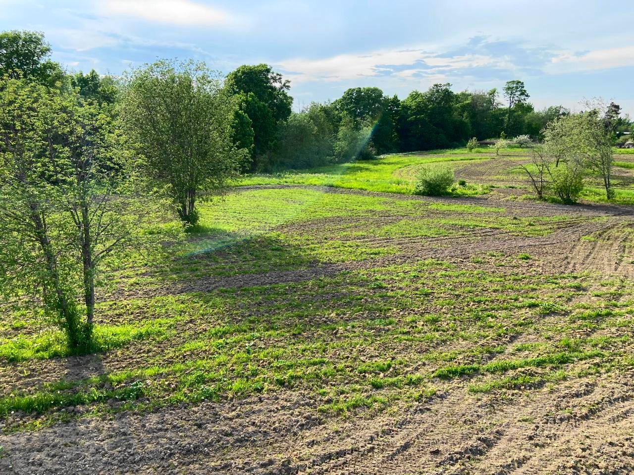 Продажа земли пос. Плодовое, улица Береговая, 66