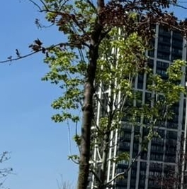 Продажа 3-комн квартиры на вторичном рынке улица Лобачевского, 120к1 Продажа 3-комн квартиры на вторичном рынке улица Лобачевского, 120к1