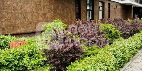 2-комн квартира 5-й Предпортовый проезд, 2