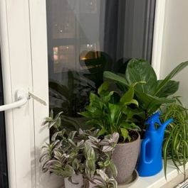 Продажа 1-комн квартиры на вторичном рынке Верхне-Каменская улица,  д. 5