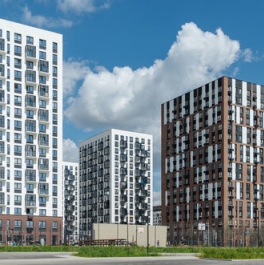 Продажа 1-комн квартиры на вторичном рынке Мисайлово д, Пригород Лесное мкр