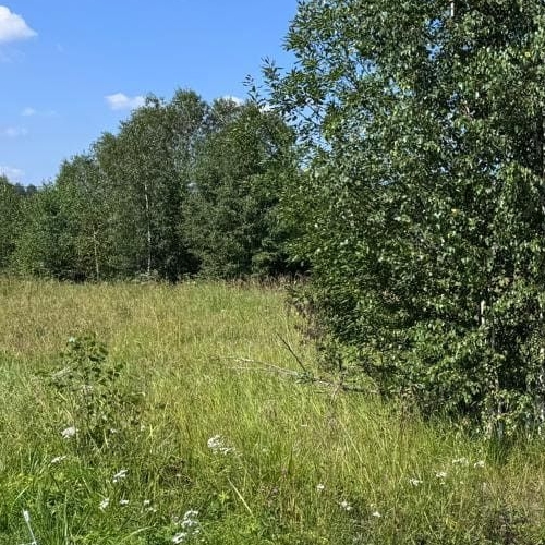 Земельный участок Березовка кп, 33