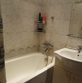 Продажа 1-комн квартиры на вторичном рынке Песочный п, Белоостровское ш,  д. 1