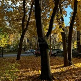 Продажа 2-комн квартиры на вторичном рынке Парковая 6-я ул,  д. 27