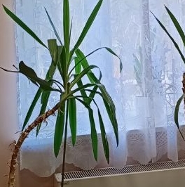 Продажа 2-комн квартиры на вторичном рынке Химки, улица Калинина, 7 Продажа 2-комн квартиры на вторичном рынке Химки, улица Калинина, 7