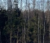 Продать Квартиры вторичка Планерная улица, 91к1   