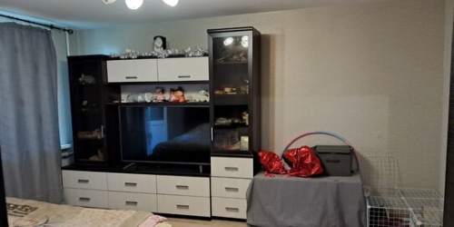 1-комн квартира Шуваловский пр-кт,  д. 63,  к. 4