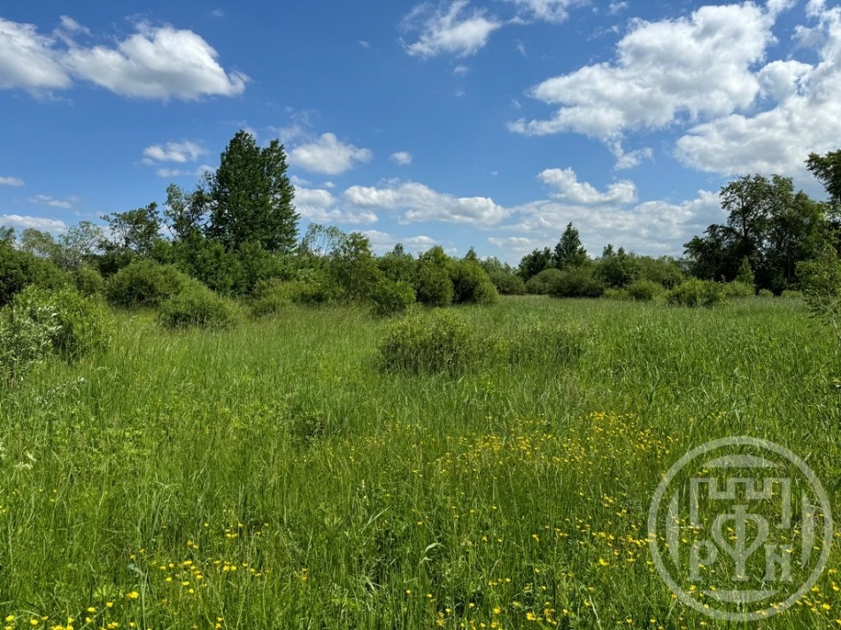 Продажа земли Отрадное г., Шишова ул. ,  д. 3