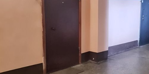 1-комн квартира 1-й Муринский проспект, 29