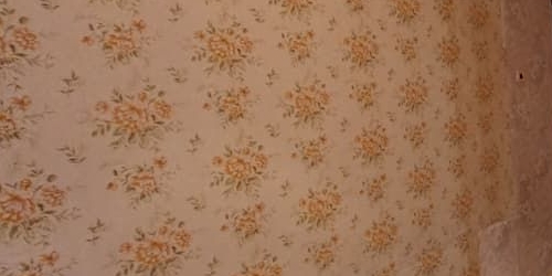 1-комн квартира бульвар Яна Райниса, 6К1