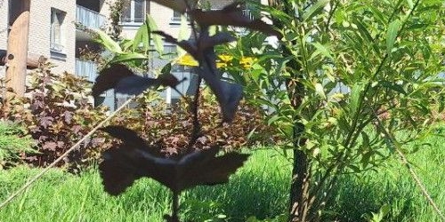 2-комн квартира шоссе Революции, 3к2