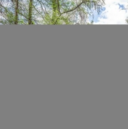 Продажа 3-комн квартиры на вторичном рынке Рассказовка д,  д. 8