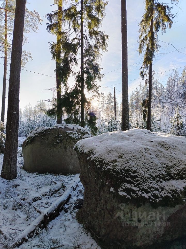 Продажа земли Выборг, Ручьи СНТ, переулок 1-й Лилейный, 4