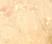 Продать Квартиры вторичка Жуковский, улица Серова, 18   