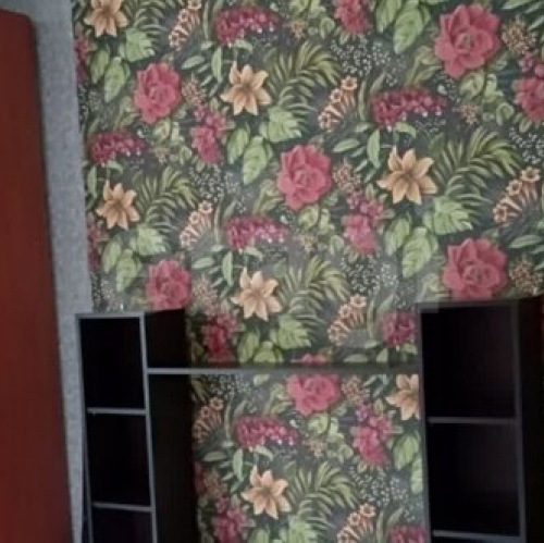 1-комн квартира Светлановский пр-кт,  д. 58 к1