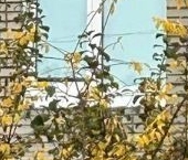 Продать Квартиры вторичка с. Копорье, 5   