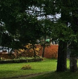 Продажа дома Рощино Парк кп, Рощино пгт, проезд Клюквенный