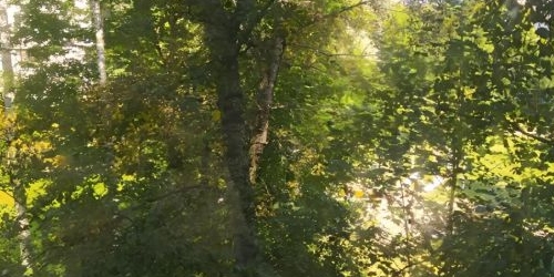 2-комн квартира Пушкин, Школьная улица, 43