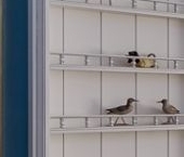 Сдать в аренду Квартиры вторичка Мытная улица, 7с1   