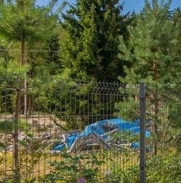 Продажа дома Ветви.Репино кп, пос. Ленинское