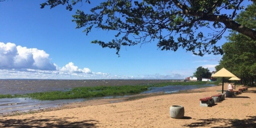 1-комн квартира Лисий Нос п, Ивановская ул ,  д. 9