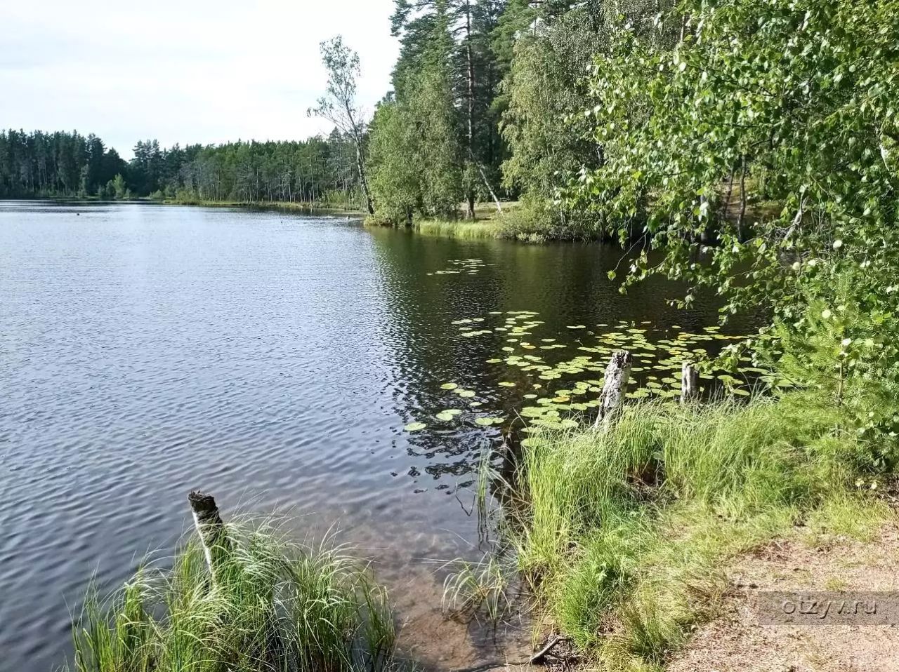 Продажа земли Славянка садовое товарищество, Белкино СНТ, 3-я линия
