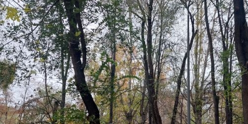 4-комн квартира Лесная улица, 45