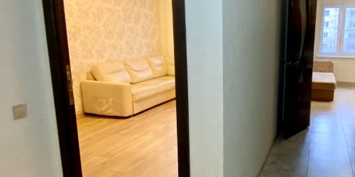 1-комн квартира пос. Шушары, Пушкинская улица, 50