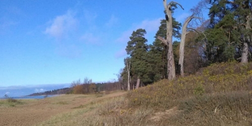 Коттедж/дом Сестрорецк г., Тарховская ул. ,  д. 14