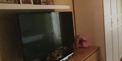 1-комн квартира Пушкин, Петербургское шоссе, 15/2