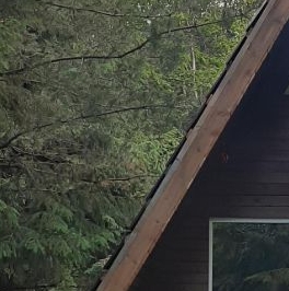 Продажа дома д. Пруди, 2