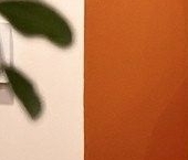 Сдать в аренду Квартиры вторичка бульвар Головнина, 3к1   