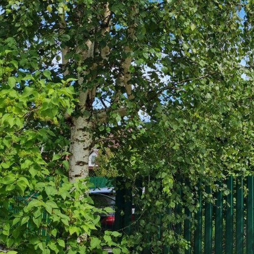 Коттедж/дом Красницы садоводческий массив, Глобус садоводческое товарищество, 4-я линия