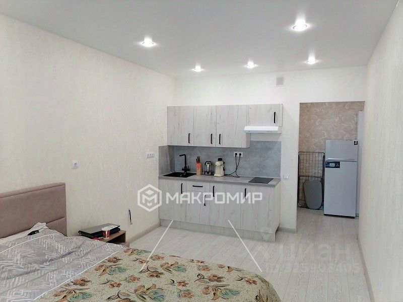 Аренда студии Мурино, проспект Авиаторов Балтики, 29к2