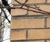 Продать Квартиры вторичка улица Сталеваров, 26К2   