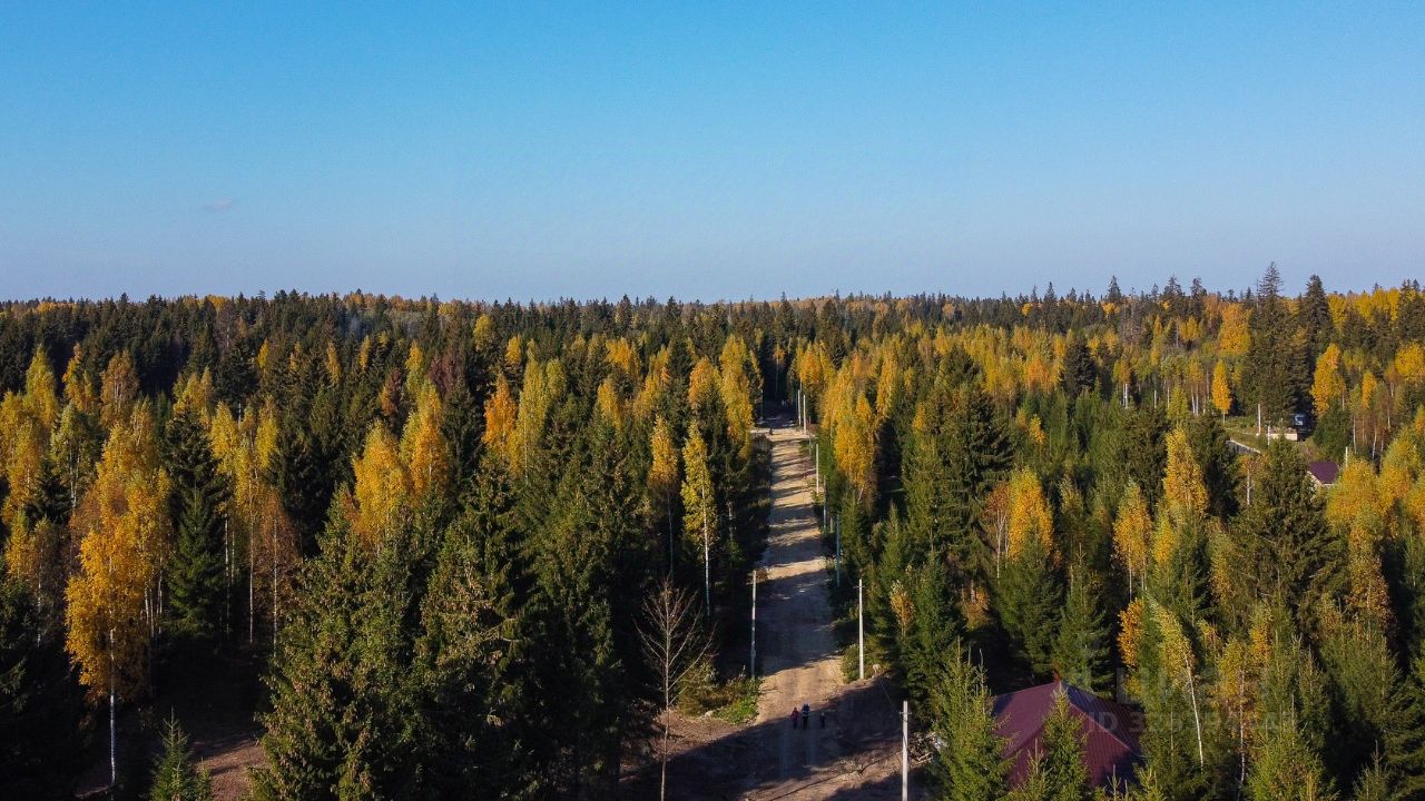 Продажа земли д. Черемыкино, улица Лесогорская