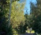 Продать Квартиры вторичка Солнечногорск, улица 2-я Володарская, 7   