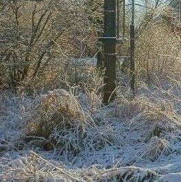 Продажа земли пос. Победа, проезд 4-й Серебристый