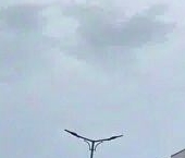 Сдать в аренду Квартиры вторичка проспект Ветеранов, 214   