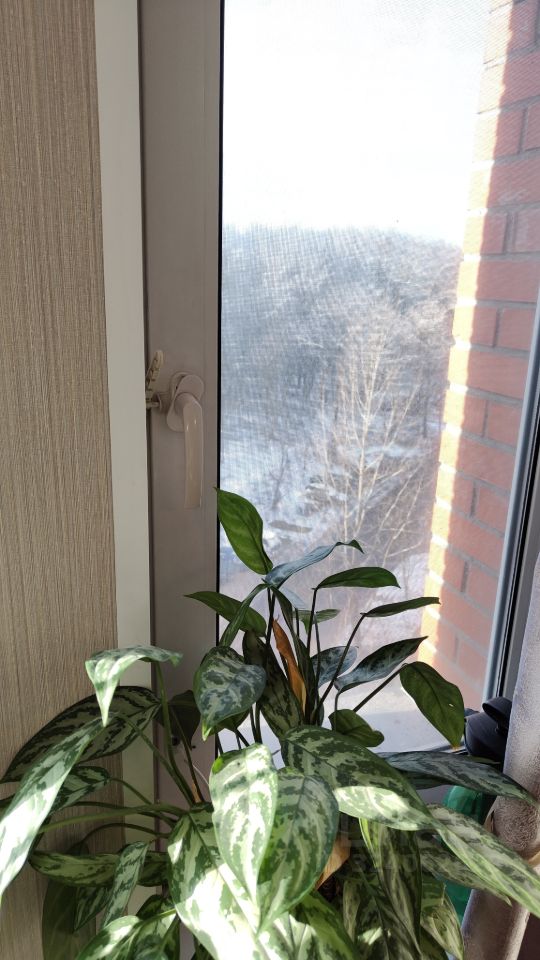 Продажа 2-комн квартиры на вторичном рынке Балашиха, улица Евстафьева, 15