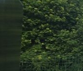 Продать Дачи, коттеджи, загородные дома Шувалово тер., улица Новоалександровская, 5А   