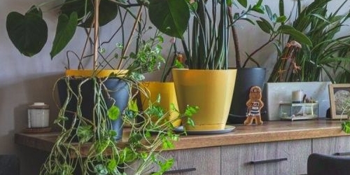 2-комн квартира Курляндская улица, 16-18