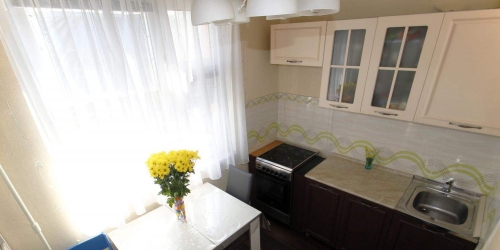 1-комн квартира Руднёвка улица,  д. 4