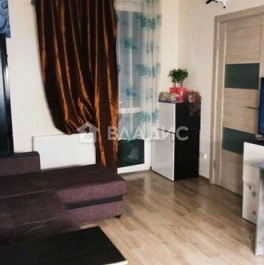 Продажа 1-комн квартиры на вторичном рынке Васнецовский пр-кт,  д. 22,  к. 1