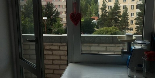 2-комн квартира Колпинское шоссе,  д. 59